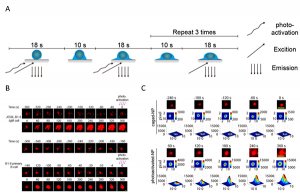 清华大学刘万里课题组发表PNAS文章