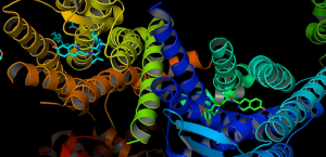 <b>科学家深入解析多种药物与细胞表面受体互作的机制</b>