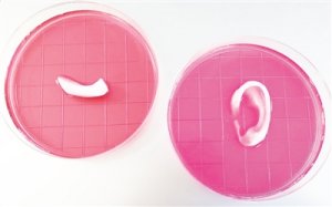 3D生物打印向人造器官移植迈出一大步