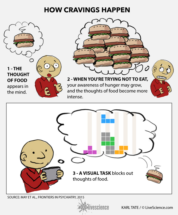 饥饿的科学: 如何控制和应对饥饿感
