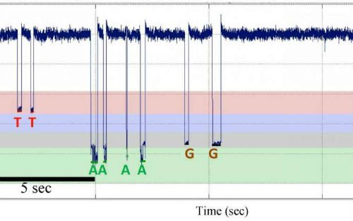 PNAS、Nature共造基因测序新方法，不“放过”任何碱基