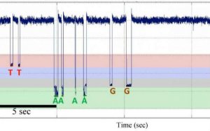 PNAS、Nature共造基因测序新方法，不“放过”任何碱基
