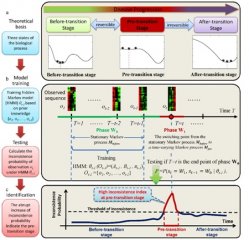上海生科院建立运用“隐马尔科夫模型”预测生物系统临界状态的新方法