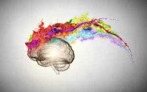 科学子刊梳理：阿尔茨海默症致病机制的“两大阵营”