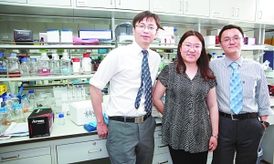 首次揭示高等植物如何“传递能量”