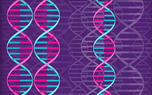 王珏博士Nature文章：突变是这样来的