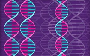 王珏博士Nature文章：突变是这样来的