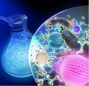生物技术首次应用于量子点生产: 一种简洁环保的新方法