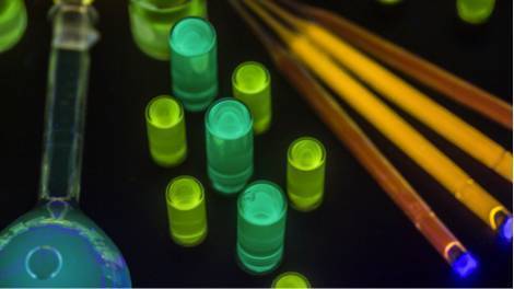 生物技术首次应用于量子点生产: 一种简洁环保的新方法