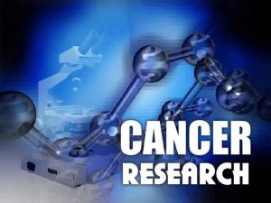 欧美联手打造1000个癌症新模型，癌症研究将迎“大跃进”？