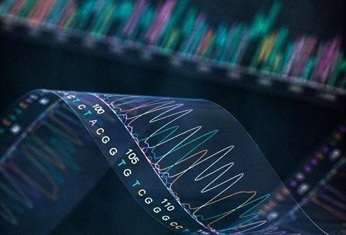 精准医疗的命门：资本界关于精准医疗的四点看法