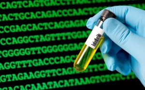 金斯瑞生物科技(01548)发盈喜 基因合成行业潜力大被看好
