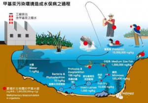 天然的造毒师---将汞转化为甲基汞的微生物