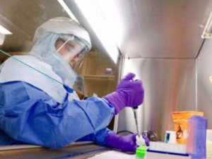 兹卡病毒威胁孕妇与胎儿健康，CDC发布最新预防指南