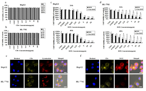 长春光机所在荧光碳点对癌症药物选择性释放研究中取得进展