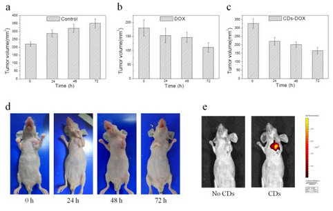 长春光机所在荧光碳点对癌症药物选择性释放研究中取得进展