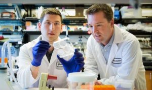 Stem Cells Transl Med：如何工程化操作制造出强大的免疫系统？