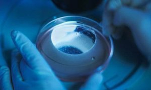 国家相关政策加持 生物医药行业发展向好