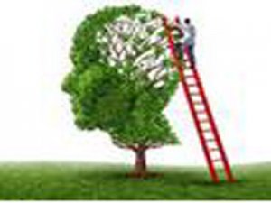 多发性硬化患者认知功能异常不容忽视