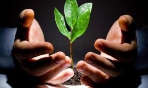 冠昊生物借力“孵化”外延扩张 树立行业标杆