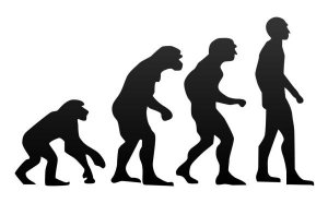 现代分子生物学如何力证人类“非洲起源说”