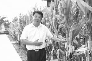 李登海的玉米情