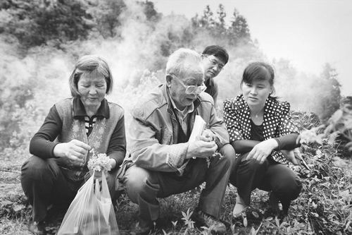 父子携手 情系草木