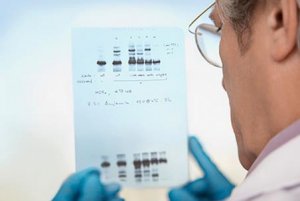 <b>美国遗传学家揭示“获得性遗传”的分子机制</b>
