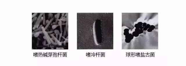 131523101000812.jpg