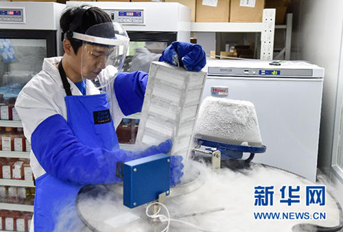 “方舟”起航：揭秘搭载遗传密码的国家基因库