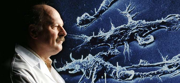 研究新发现：多肽可用于治疗耐药细菌