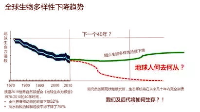 《森林法》大修 学者称缺了“生物多样性”