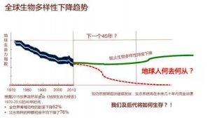 《森林法》大修，学者指出缺乏生物多样性保护