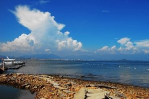 <b>坝光将建成国际生物科技创新中心</b>