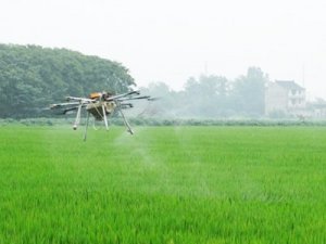 我国生物农药市场化比重逐步增强