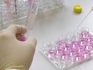 重庆重点培育生物医药产业 检测平台为之锦上添花