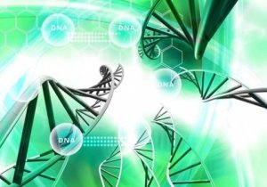 健康产业科技创新规划年内出台