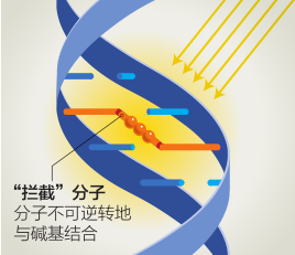 拦截”系统: 剔除血液病原体