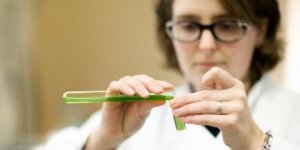 携手深耕，共谋生物基材料产业大发展