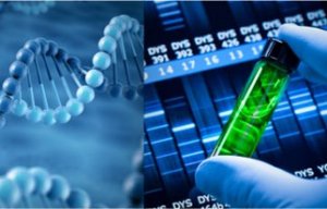 2020年生物产业产值 预期达8-10万亿元