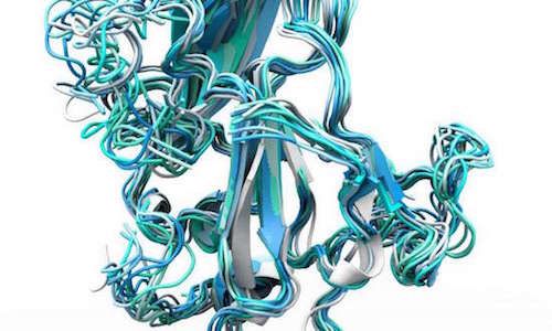 PNAS：为何难以开发有效的丙肝疫苗？科学家揭示重要原因