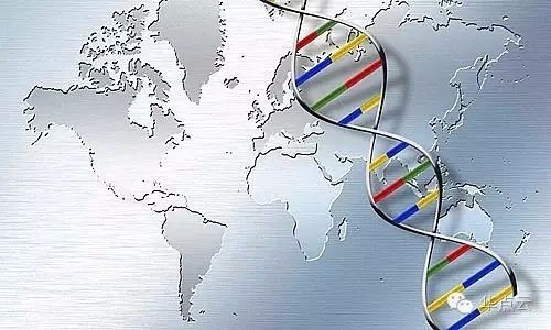 基因测序全产业链：上游三四代技术是趋势，下游样本积累是关键
