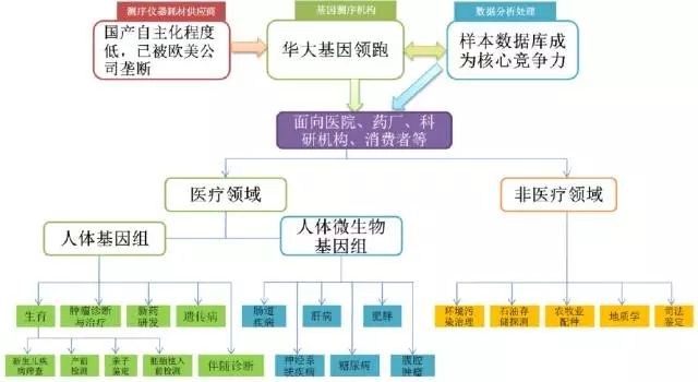 基因测序全产业链：上游三四代技术是趋势，下游样本积累是关键