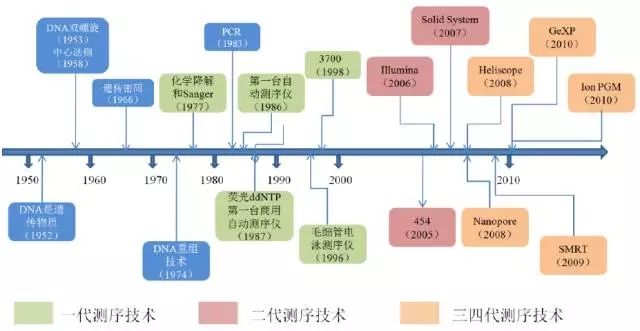 基因测序全产业链：上游三四代技术是趋势，下游样本积累是关键