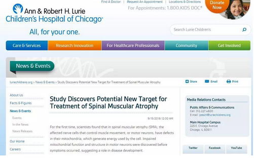 研究发现脊髓性肌萎缩症的潜在新治疗靶点