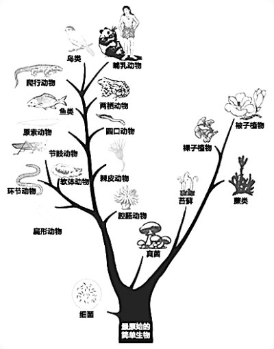 物理学与进化论的“跨界”