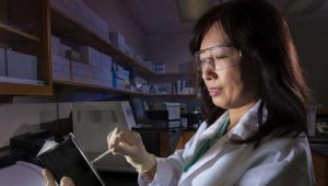 PLoS ONE：鉴别出用于生物恐怖袭击的毒性菌株的新型遗传突变