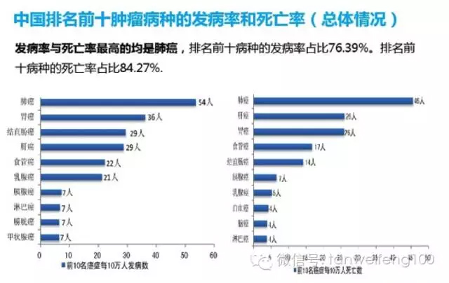 中国肿瘤市场主要数据与动态梳理