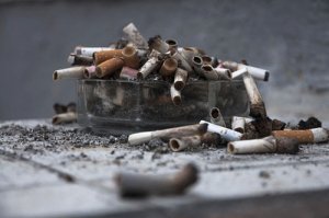每吸50根烟导致每个肺细胞产生1个DNA突变