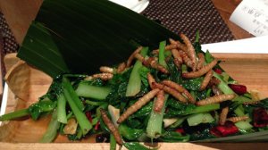 昆虫竟是补铁高手？科学家发现虫子比牛肉更营养